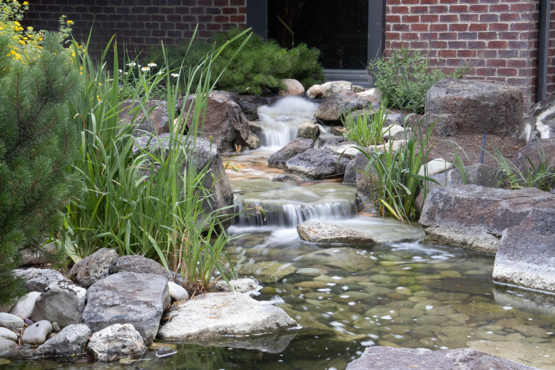 Pondless waterfall reveal 💧 sound on for the best part.