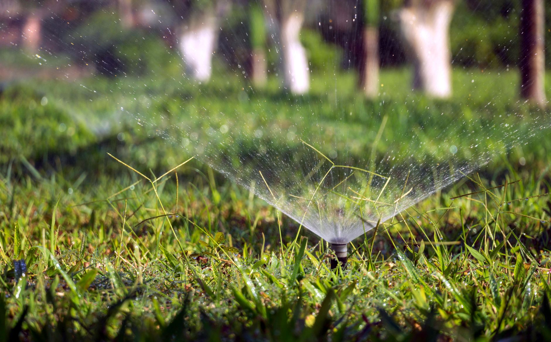 Irrigation & Sprinklers