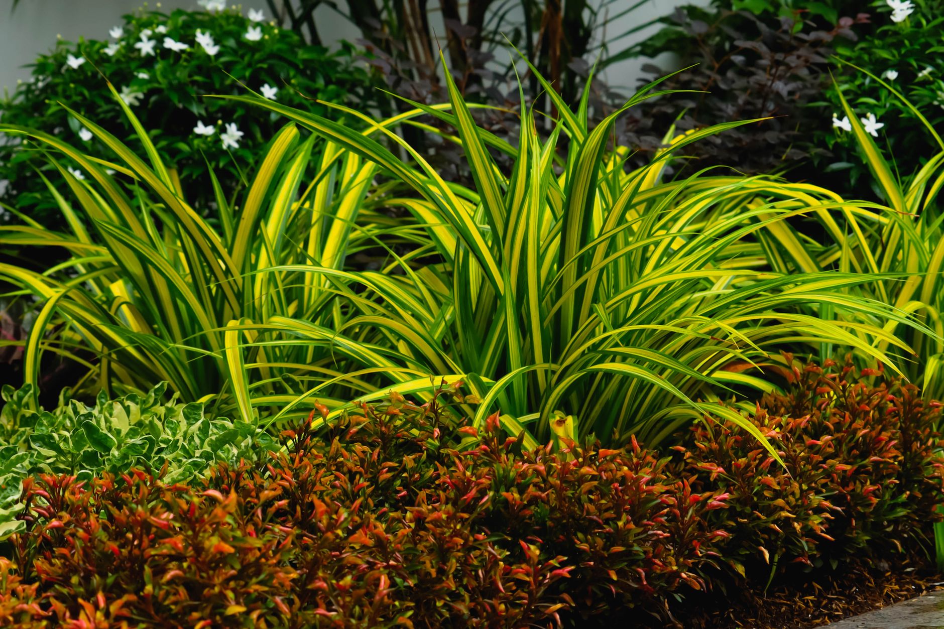 Landscape Design & Build