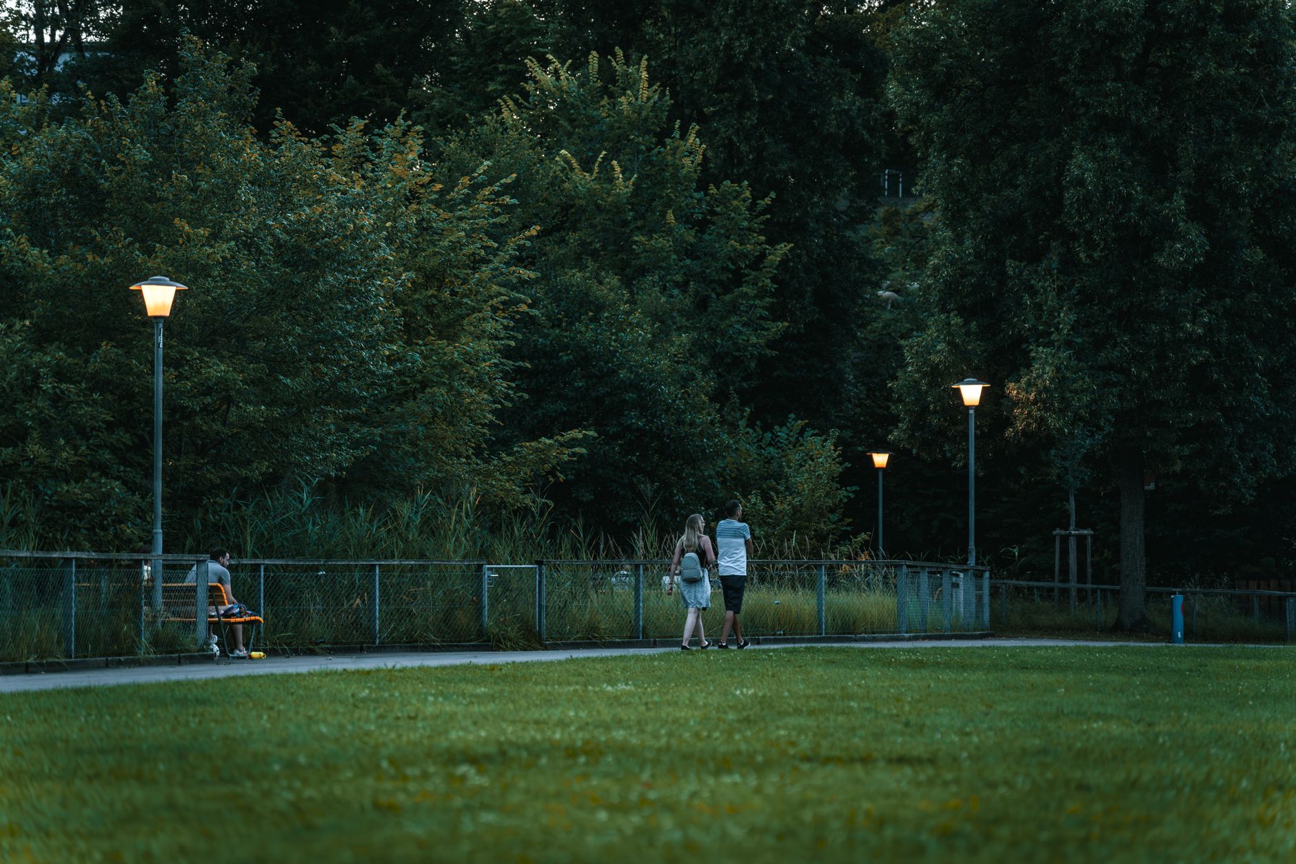 Landscape Lighting