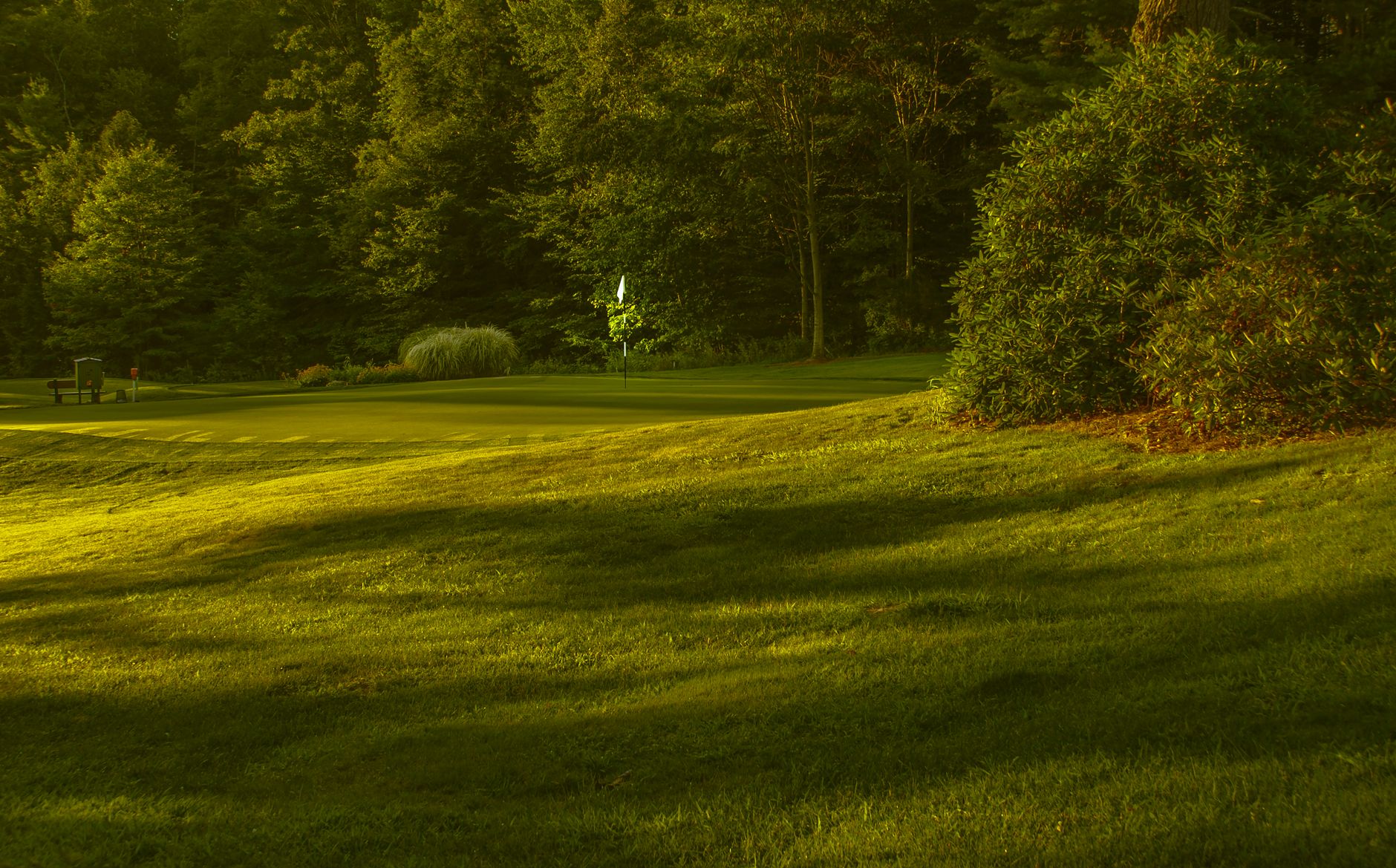 Lawn Care & Maintenance
